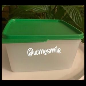 Tupperware Tupin Keep Tab Plastic Clear/Green 1.2L Container